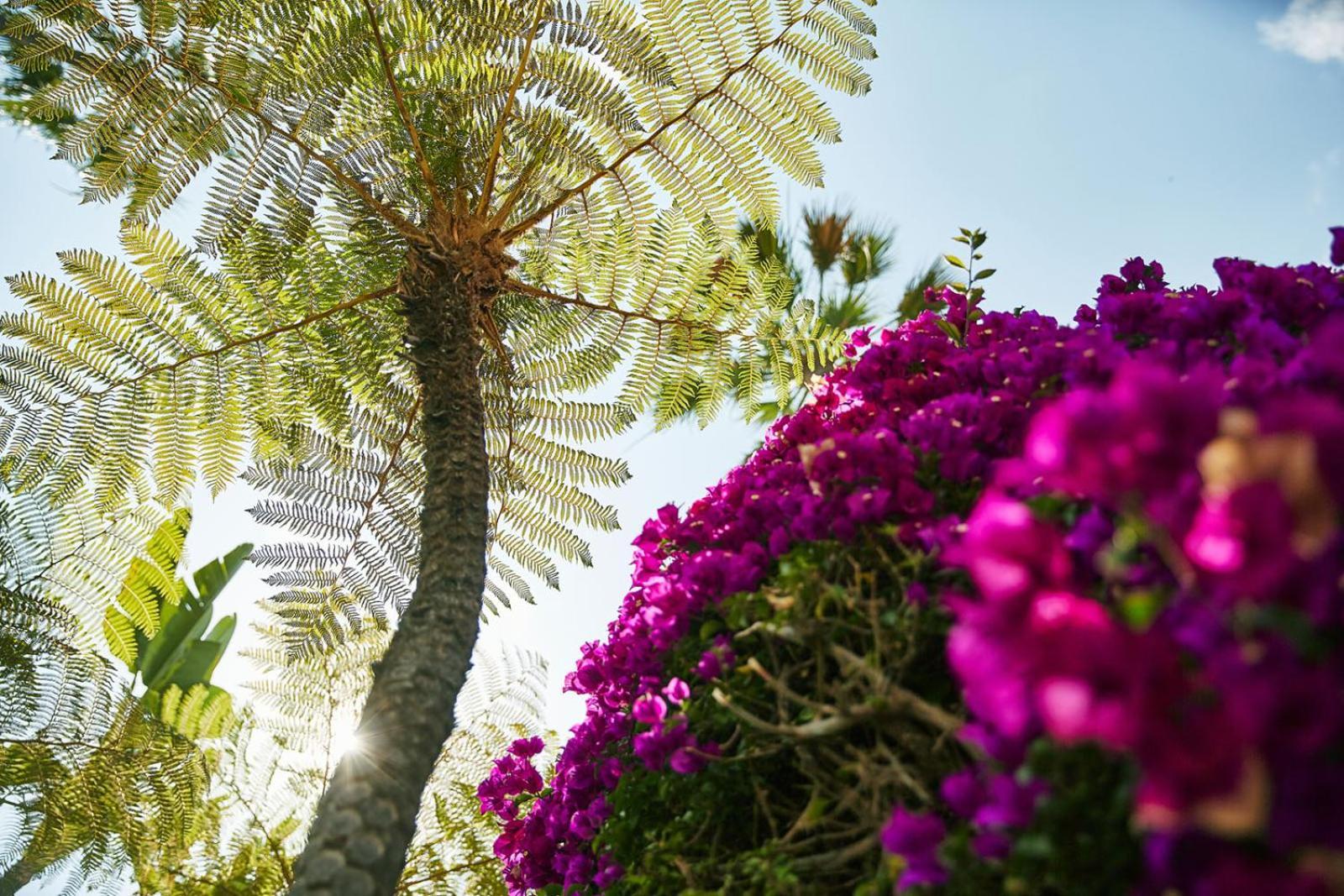 The Beverly Hills Hotel - Dorchester Collection Los Angeles Exterior foto